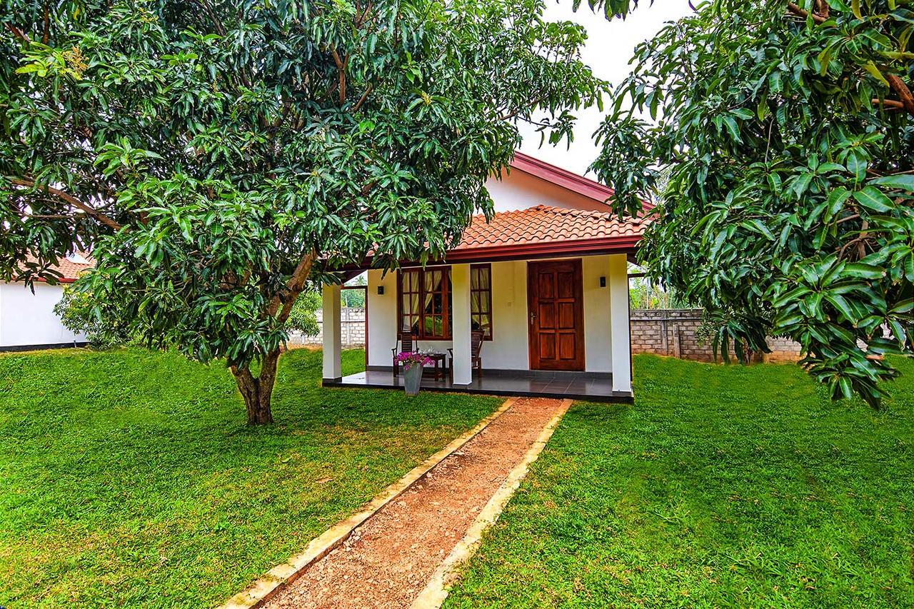 Dambulla Hills Resort Kültér fotó