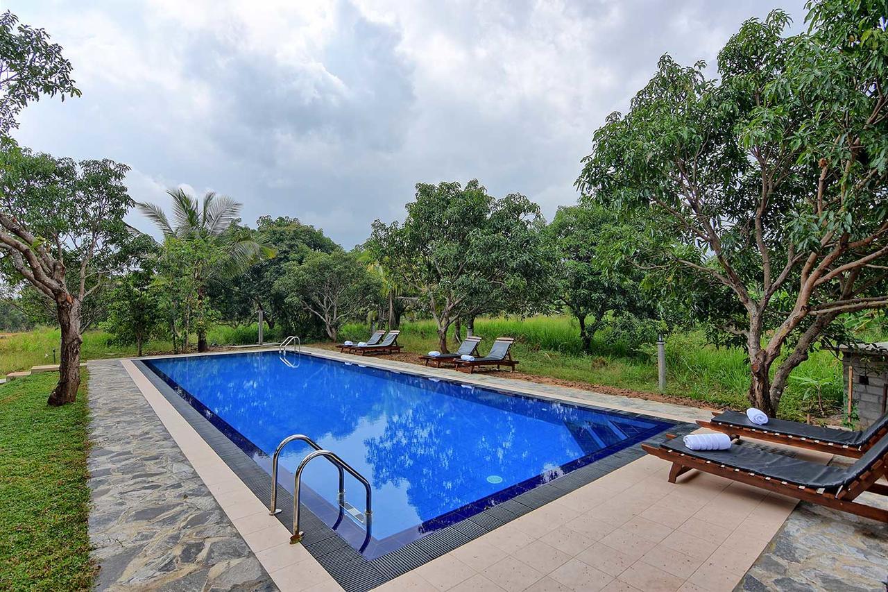 Dambulla Hills Resort Kültér fotó