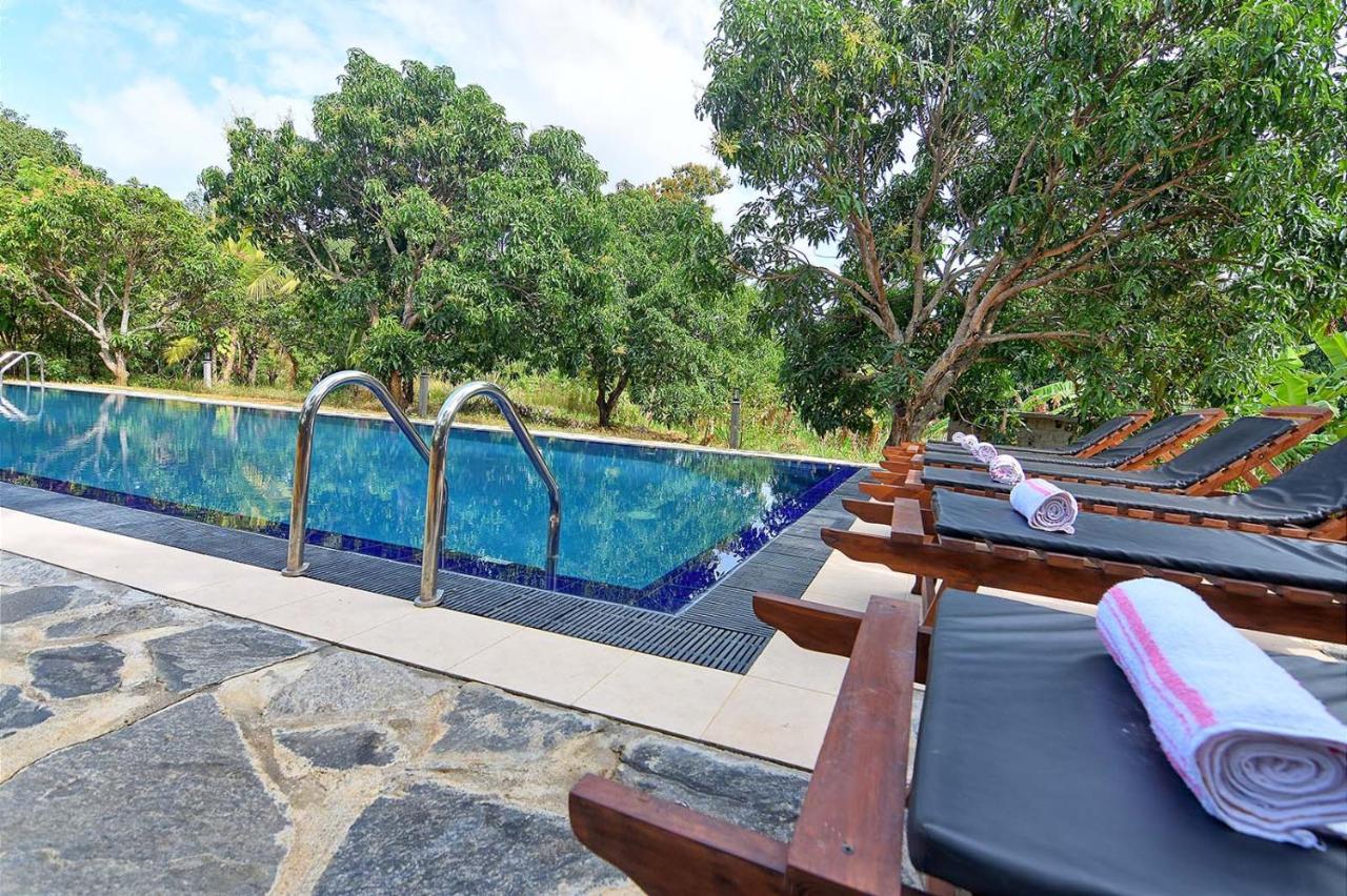 Dambulla Hills Resort Kültér fotó