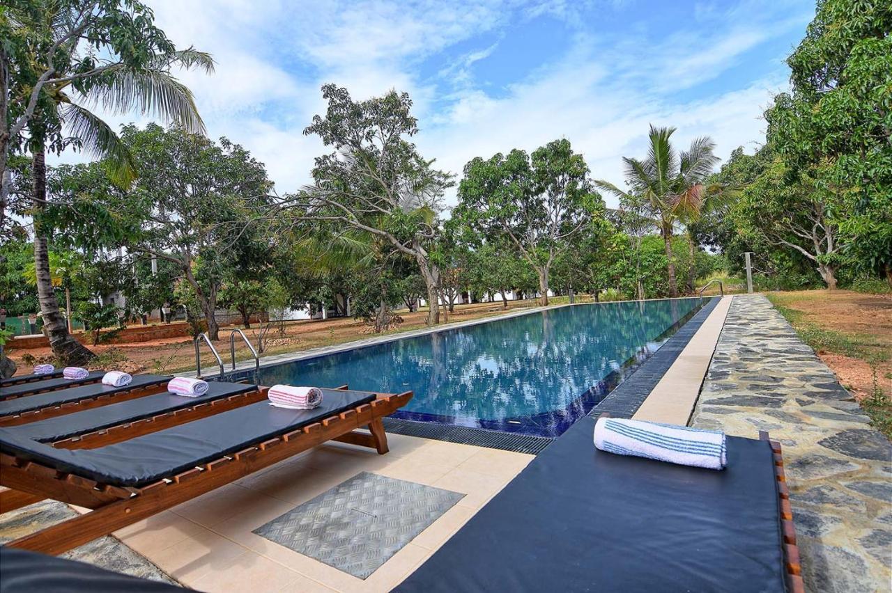 Dambulla Hills Resort Kültér fotó