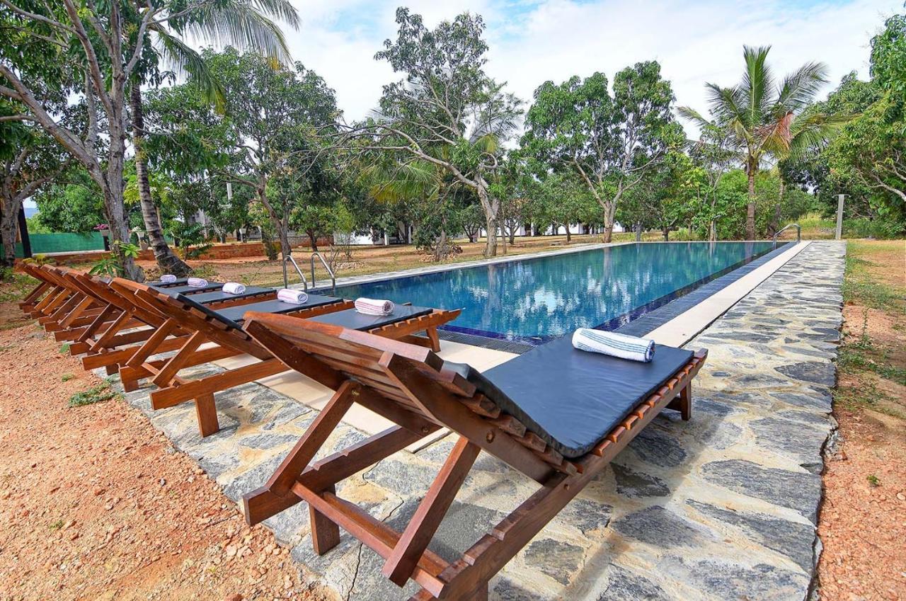 Dambulla Hills Resort Kültér fotó
